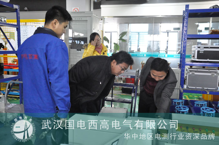 喜迎马来西亚客户到访国电西高