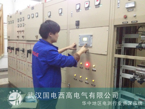 国电西高工程师为河北变电站提供技术指导