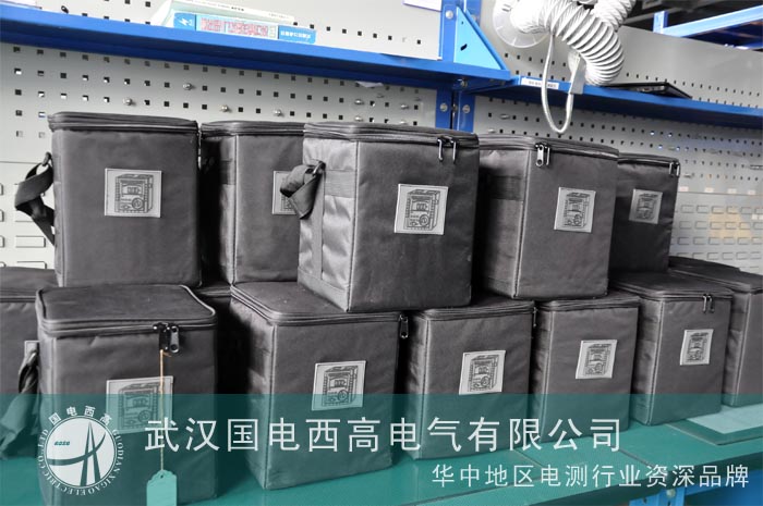 孟加拉客户从我公司购置20台接地电阻