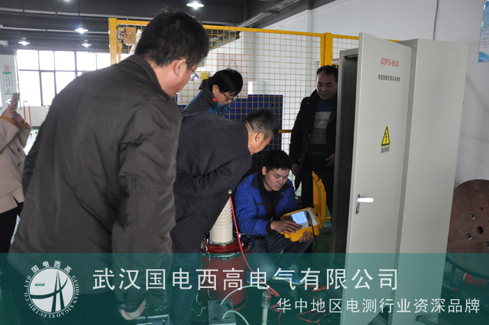 中科院领导前来我司考察