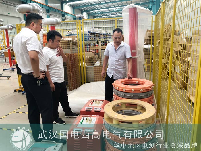 贵州拓源集团前来我司验货串联谐振