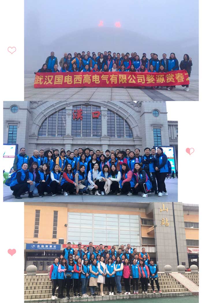国电西高邂逅最美的春天—婺源赏花之旅