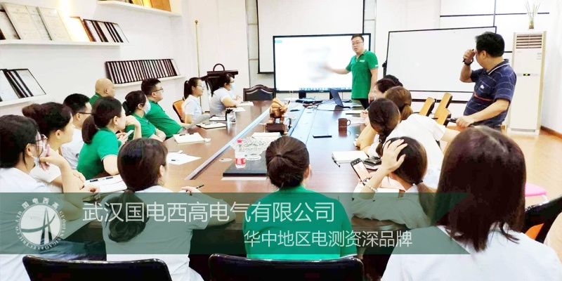国电西高周三培训之SF6测试仪选型培训会